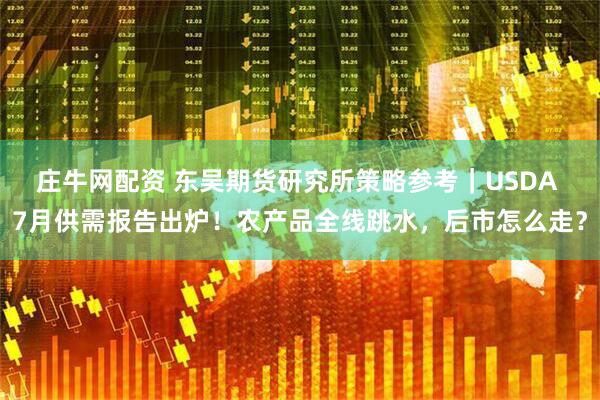 庄牛网配资 东吴期货研究所策略参考｜USDA 7月供需报告出炉！农产品全线跳水，后市怎么走？