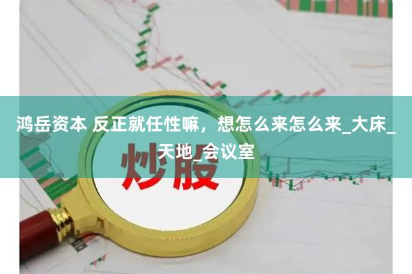 鸿岳资本 反正就任性嘛，想怎么来怎么来_大床_天地_会议室