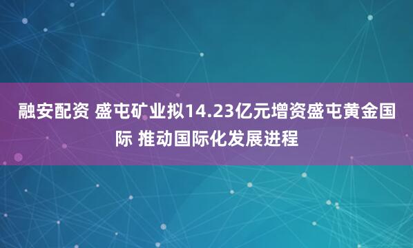 融安配资 盛屯矿业拟14.23亿元增资盛屯黄金国际 推动国际化发展进程